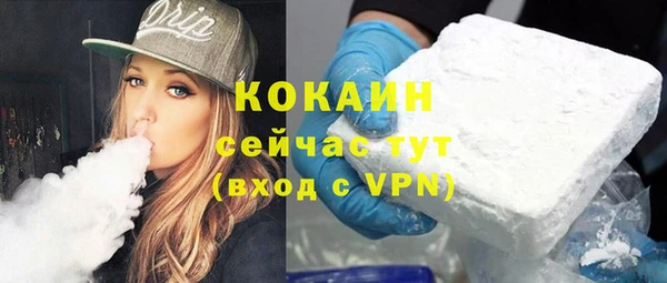PSILOCYBIN Вязники