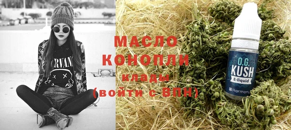 гидра Вязьма