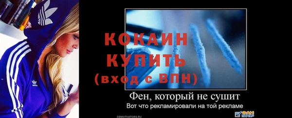 гидра Вязьма