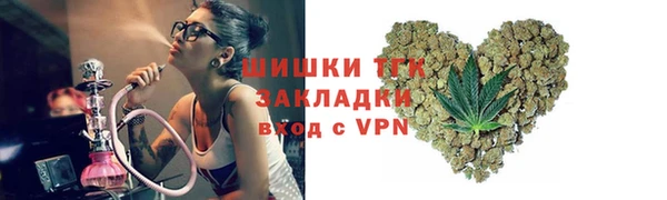 гидра Вязьма