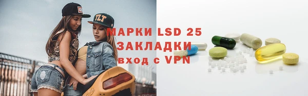 гидра Вязьма
