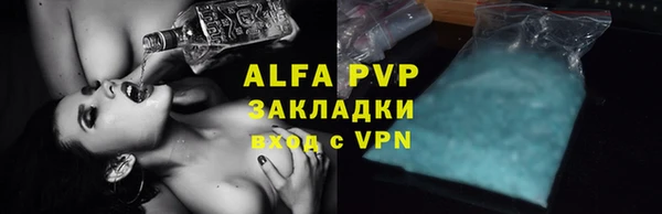 ГАЛЛЮЦИНОГЕННЫЕ ГРИБЫ Вяземский