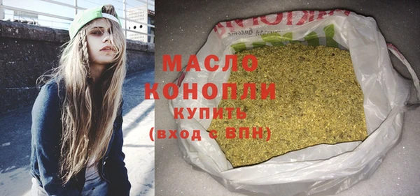 гидра Вязьма