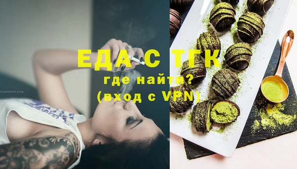 гидра Вязьма