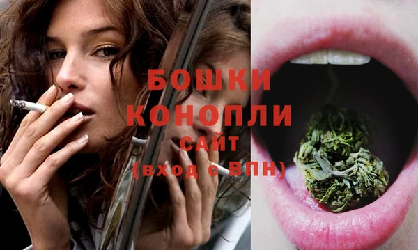 гидра Вязьма