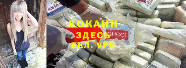 ГАЛЛЮЦИНОГЕННЫЕ ГРИБЫ Вяземский