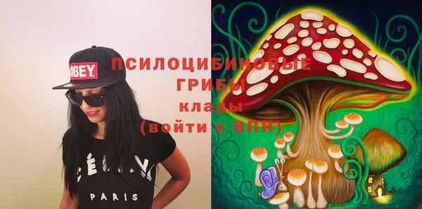 гидра Вязьма