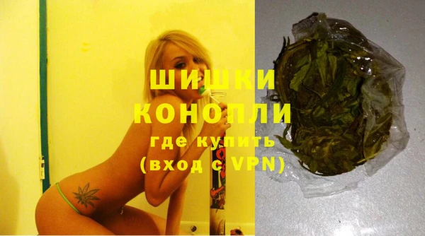 PSILOCYBIN Вязники
