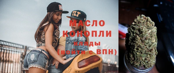 гидра Вязьма