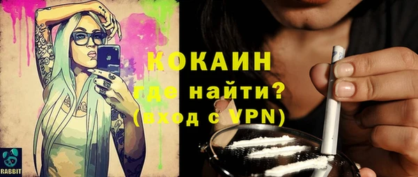 ГАЛЛЮЦИНОГЕННЫЕ ГРИБЫ Вяземский
