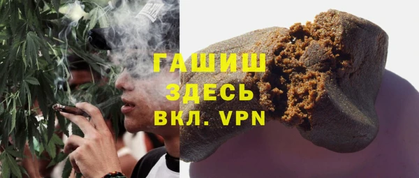 ГАЛЛЮЦИНОГЕННЫЕ ГРИБЫ Вяземский