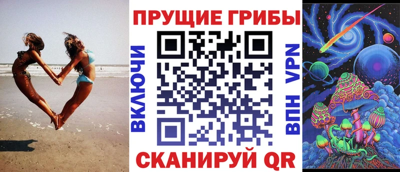 как найти наркотики  Каспийск  Галлюциногенные грибы Cubensis 