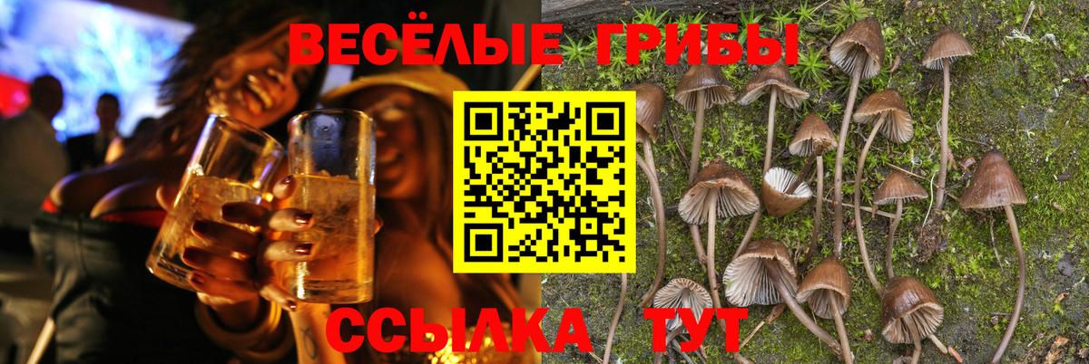 Галлюциногенные грибы мухоморы  где найти   Вход с VPN  Каспийск  Псилоцибиновые грибы мухоморы 